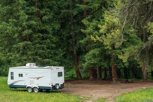 An RV parked in front of a forest with lush green trees.