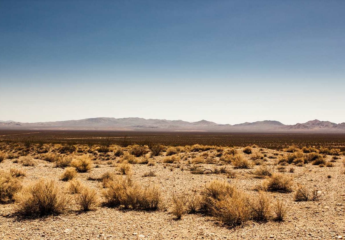 A dry-looking desert in Amarillo, TX. It is a sunny day.